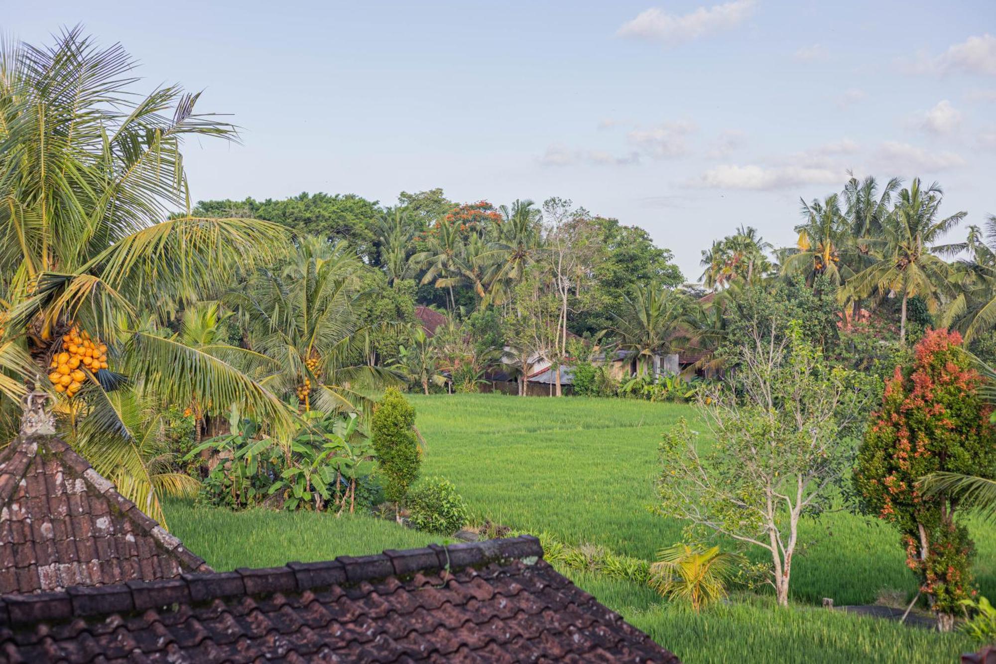 Sari Bamboo Bungalows Ubud Camera foto